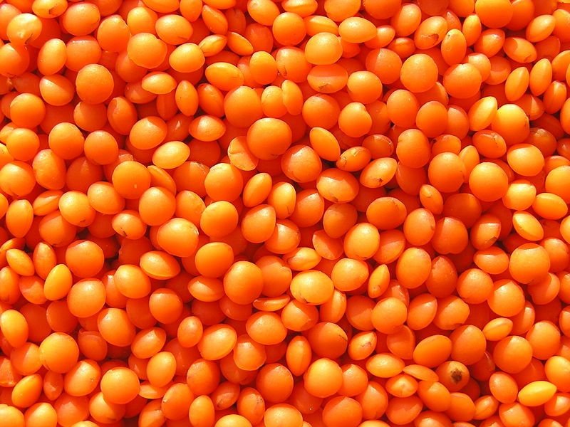 Eshaa Exim gallery — agro products export facility